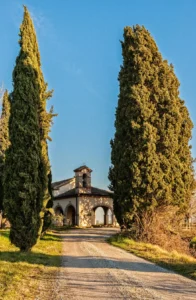 widok historycznego budynku na tle nieba